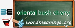 WordMeaning blackboard for oriental bush cherry